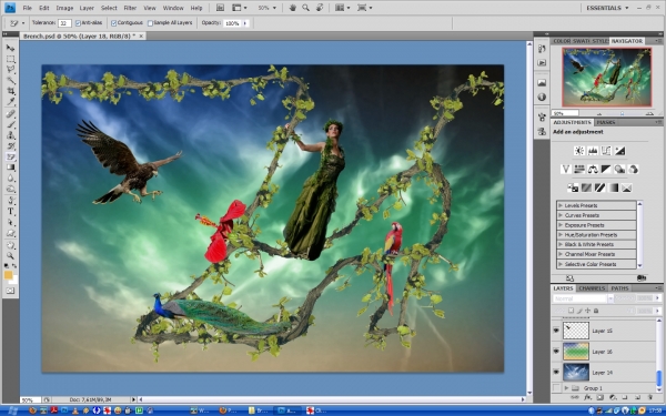 Creation of Branch: Step 10